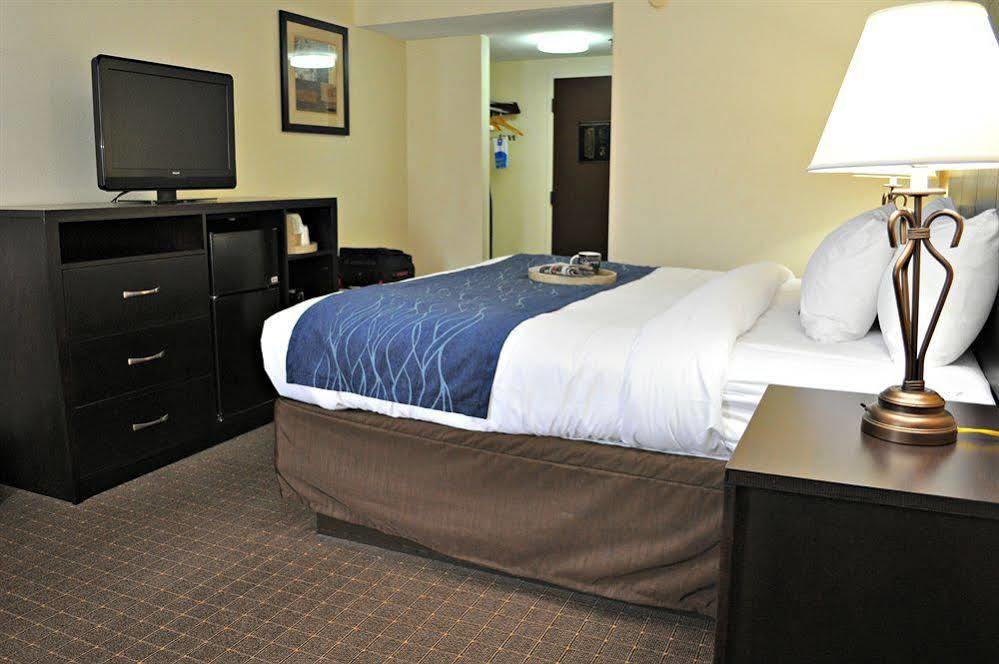 Comfort Inn Oak Ridge - Knoxville Eksteriør billede